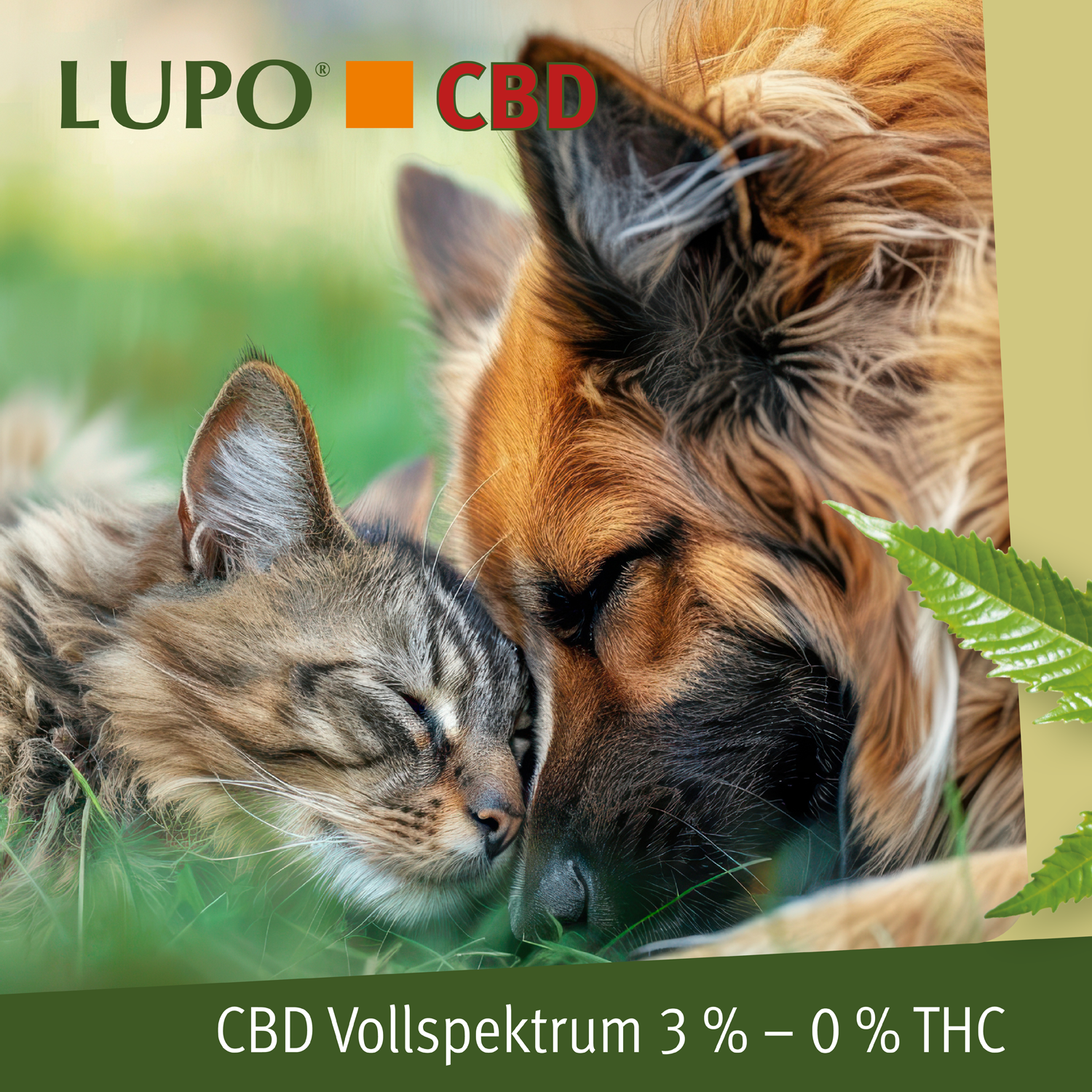 LUPO CBD Vollspektrum 3% - 0,0 % THC 10ml