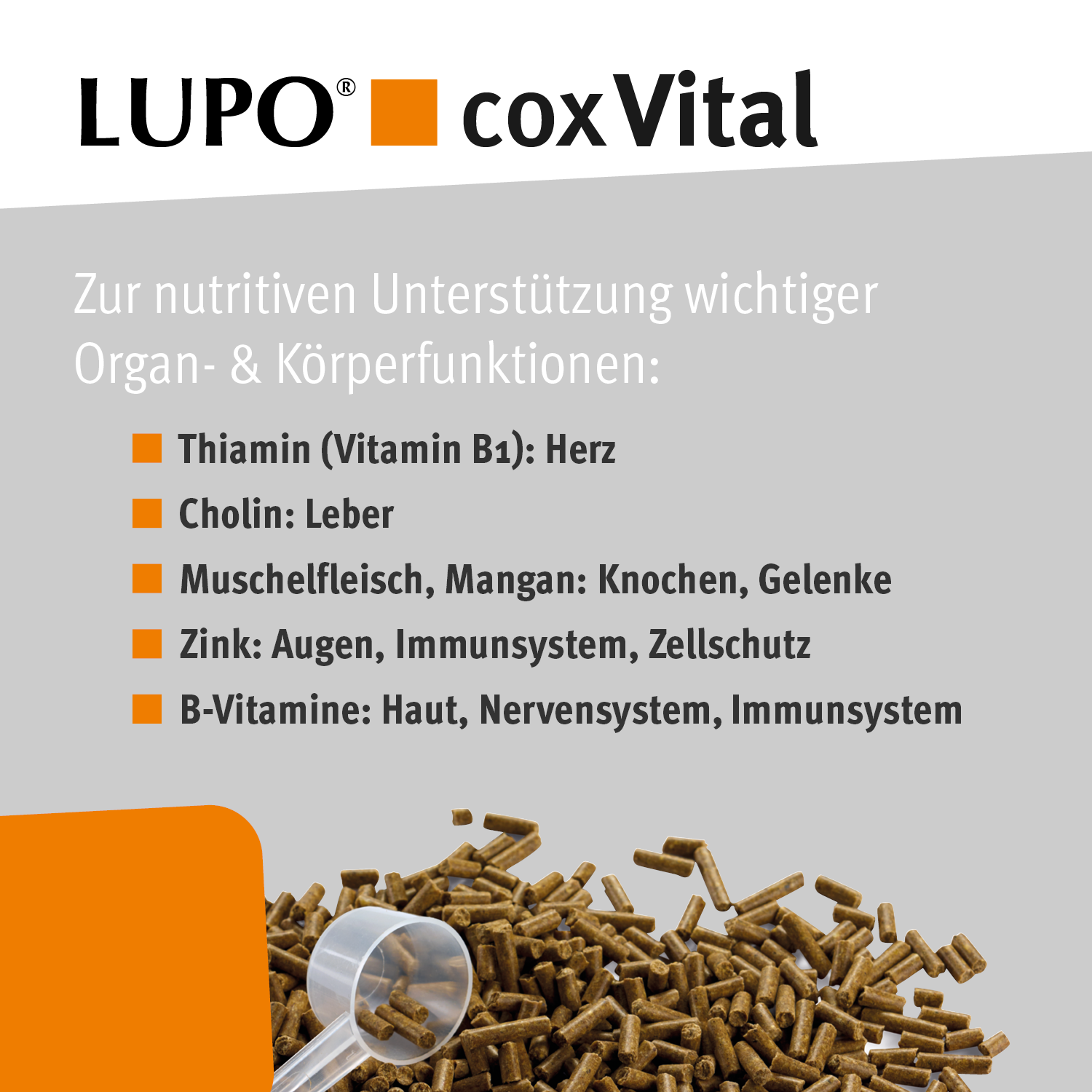 LUPO COX VITAL 2,4 kg Eimer