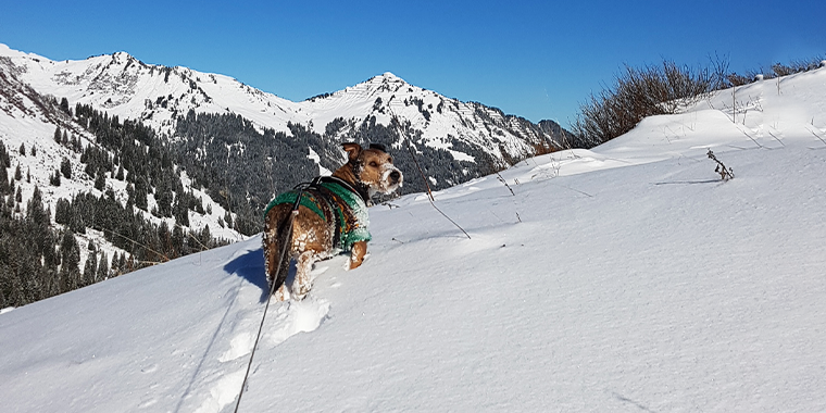 Lars und Beppo unterwegs: Training für die geplante Alpenüberquerung 2023